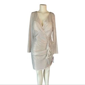 NWT gorgeous party dress